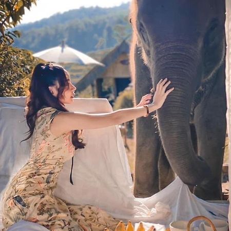 3 Pok Maewang Jinxiang Gold Elephant Park Mae Wang Exterior photo