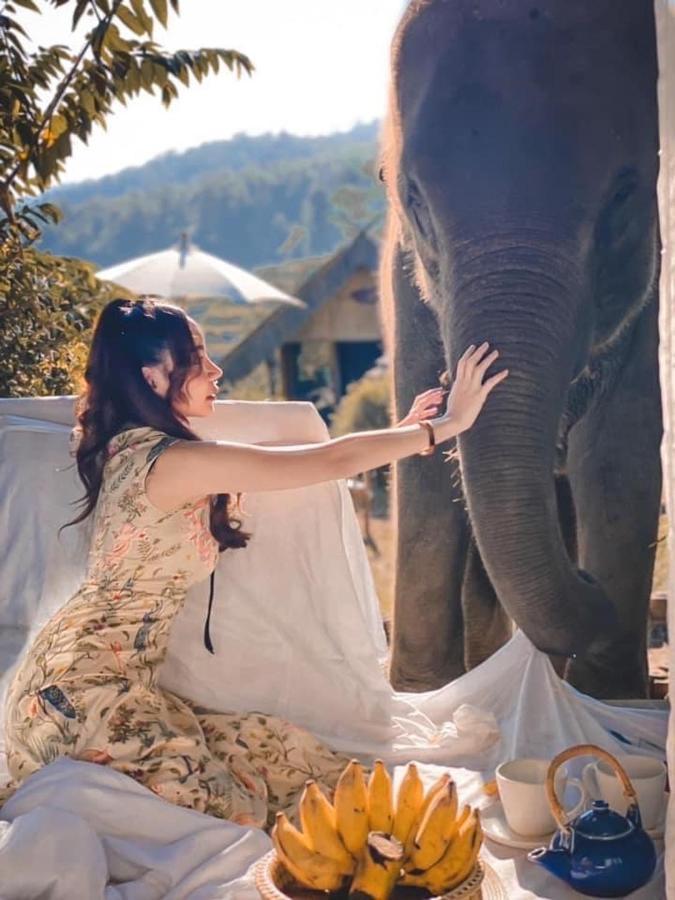 3 Pok Maewang Jinxiang Gold Elephant Park Mae Wang Exterior photo