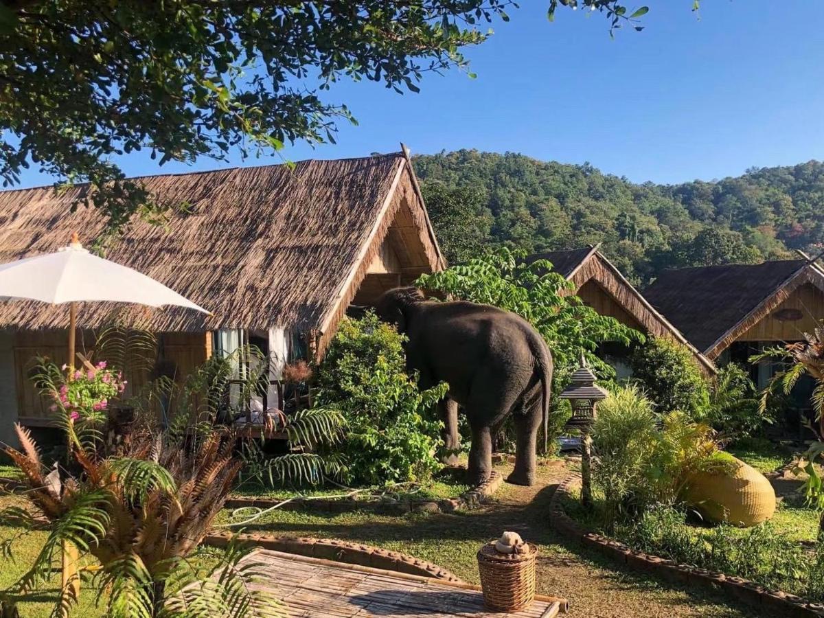 3 Pok Maewang Jinxiang Gold Elephant Park Mae Wang Exterior photo