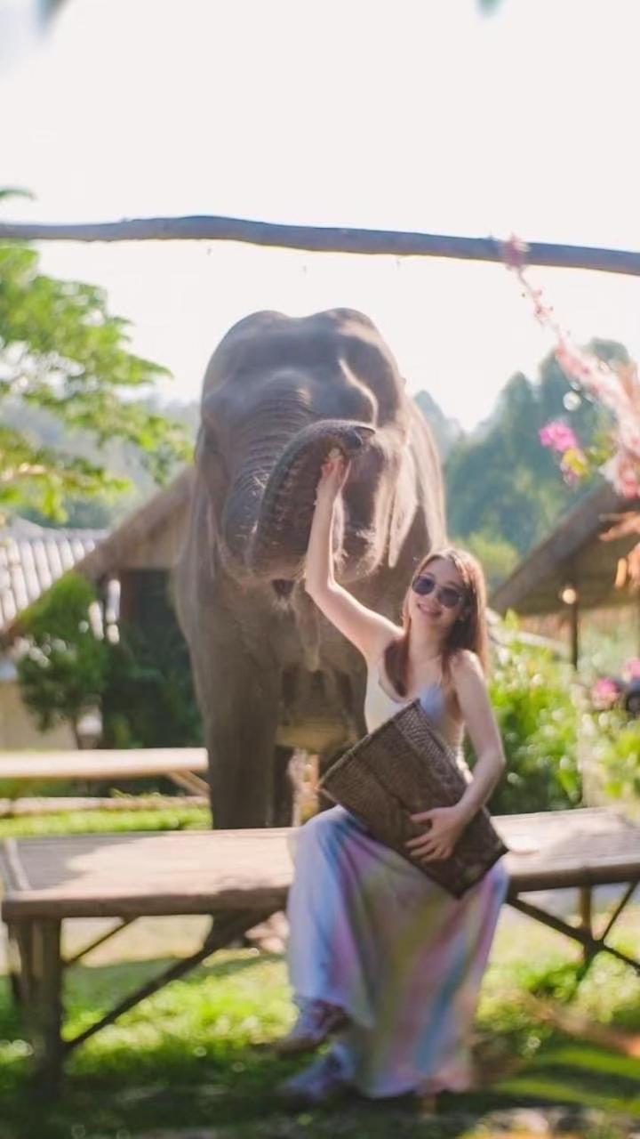 3 Pok Maewang Jinxiang Gold Elephant Park Mae Wang Exterior photo