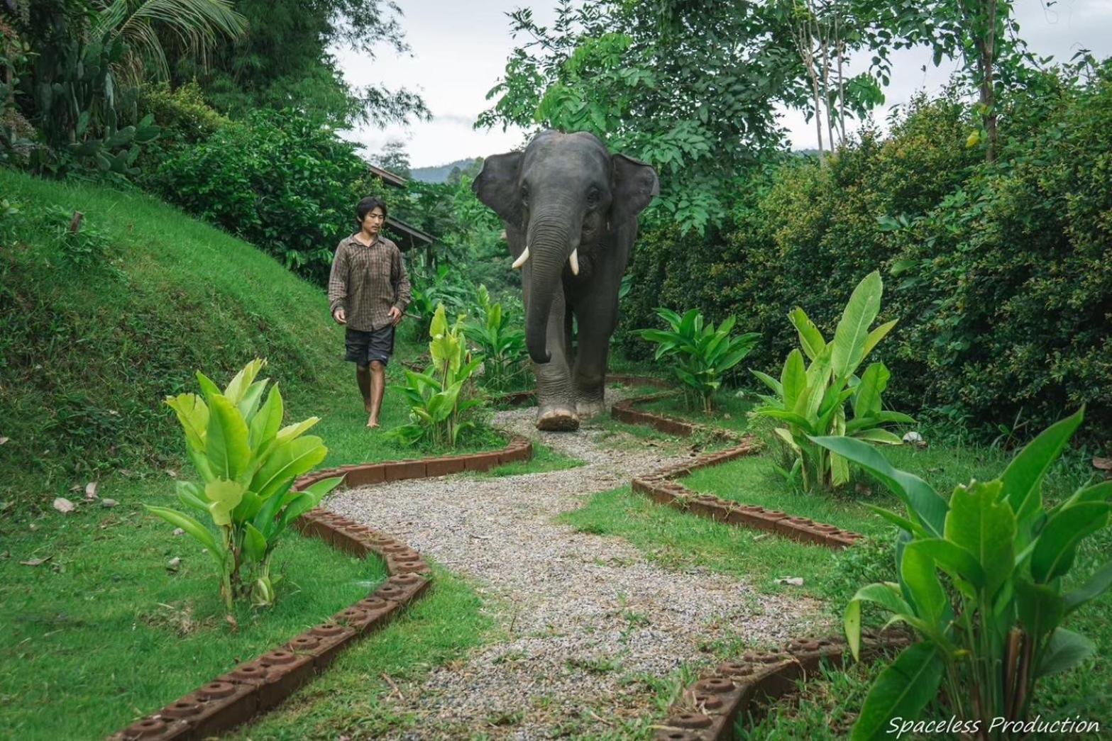 3 Pok Maewang Jinxiang Gold Elephant Park Mae Wang Exterior photo