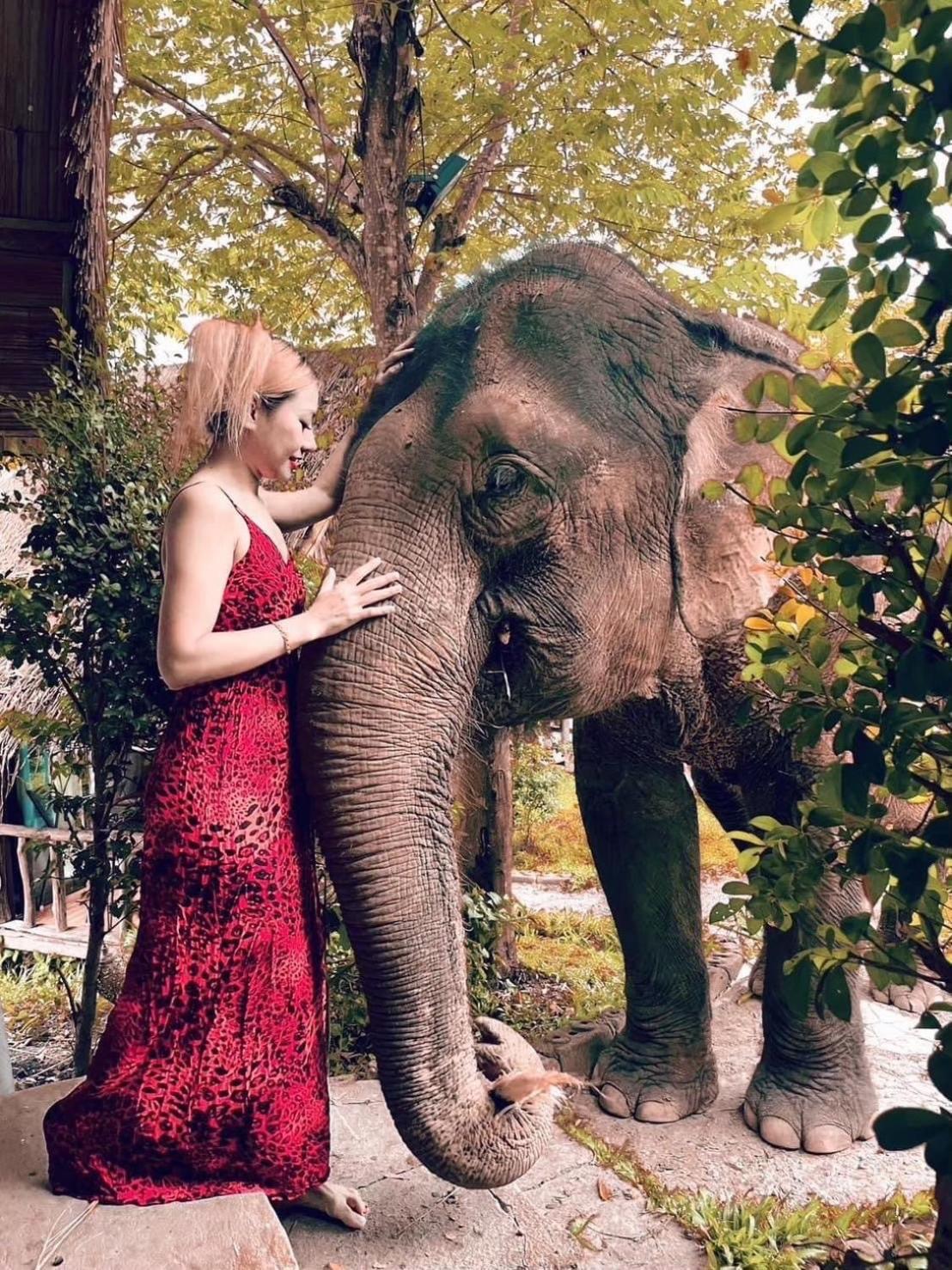 3 Pok Maewang Jinxiang Gold Elephant Park Mae Wang Exterior photo