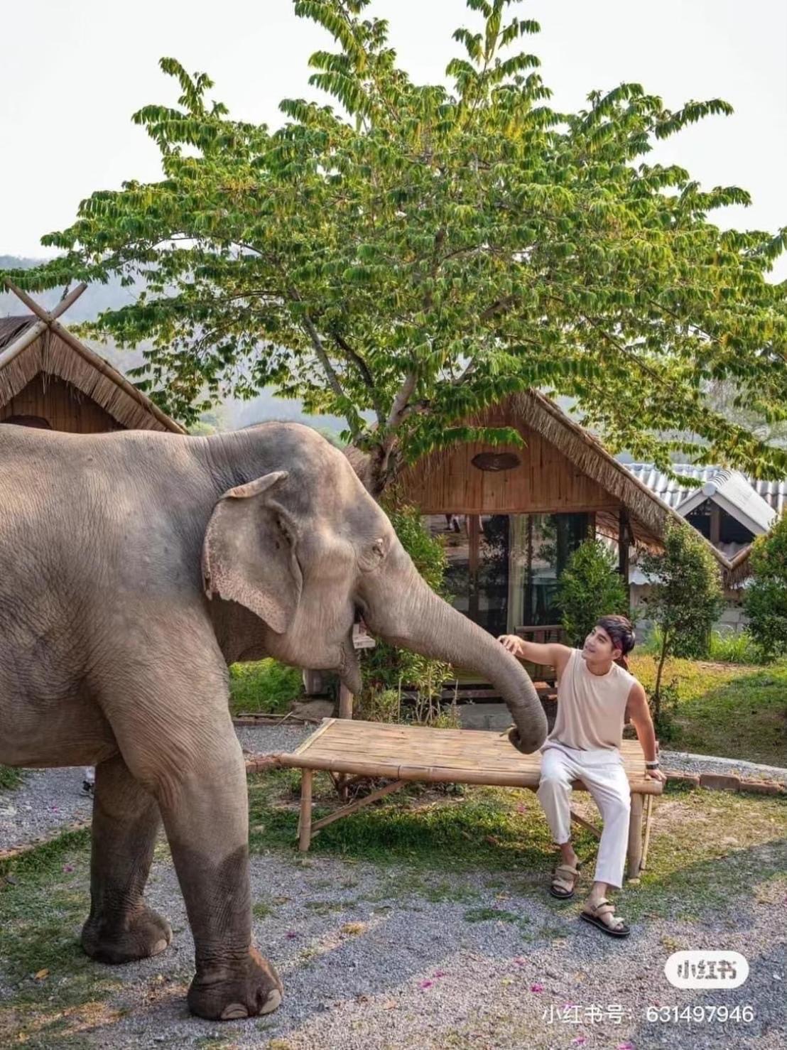 3 Pok Maewang Jinxiang Gold Elephant Park Mae Wang Exterior photo