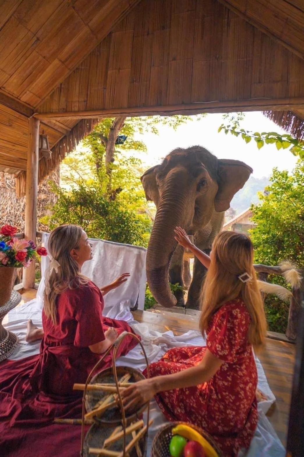 3 Pok Maewang Jinxiang Gold Elephant Park Mae Wang Exterior photo