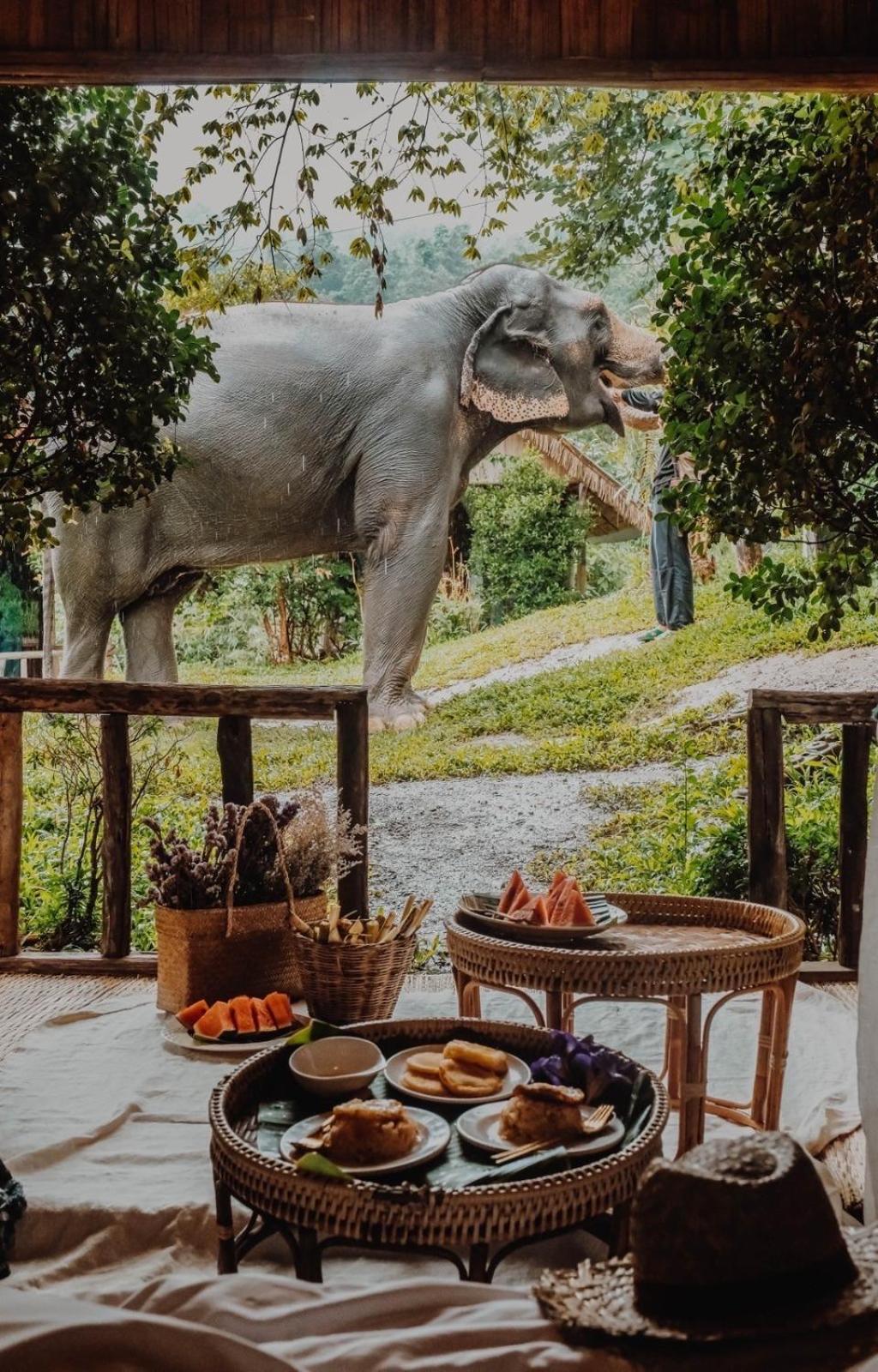 3 Pok Maewang Jinxiang Gold Elephant Park Mae Wang Exterior photo
